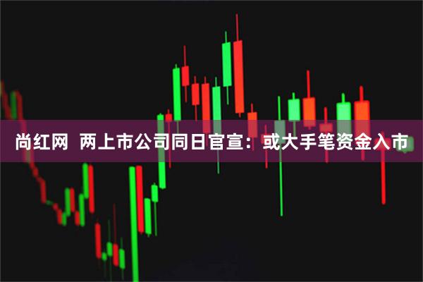 尚红网  两上市公司同日官宣：或大手笔资金入市
