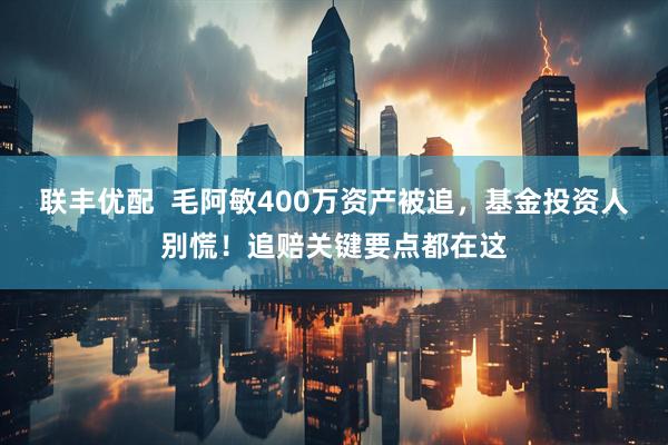 联丰优配  毛阿敏400万资产被追，基金投资人别慌！追赔关键要点都在这