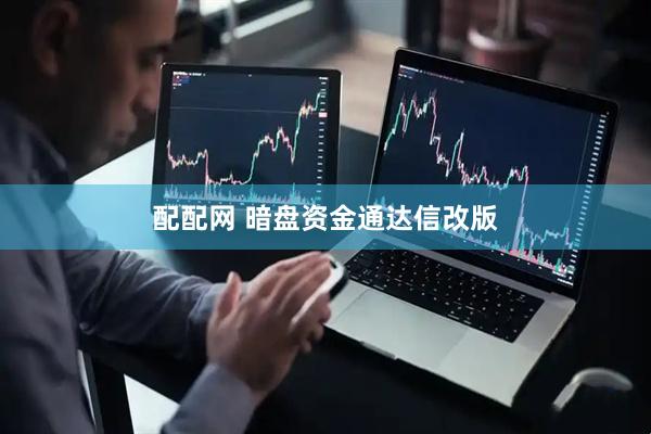 配配网 暗盘资金通达信改版