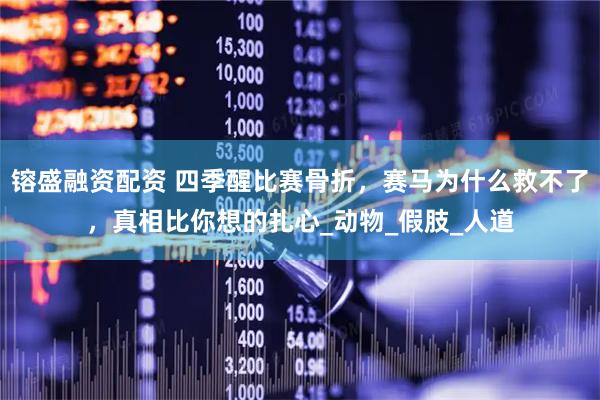 镕盛融资配资 四季醒比赛骨折，赛马为什么救不了，真相比你想的扎心_动物_假肢_人道