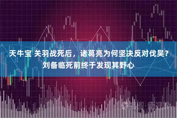 天牛宝 关羽战死后，诸葛亮为何坚决反对伐吴？刘备临死前终于发现其野心