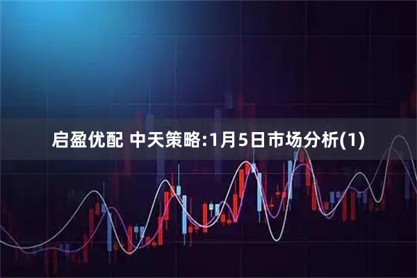 启盈优配 中天策略:1月5日市场分析(1)